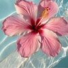 elizabethger899